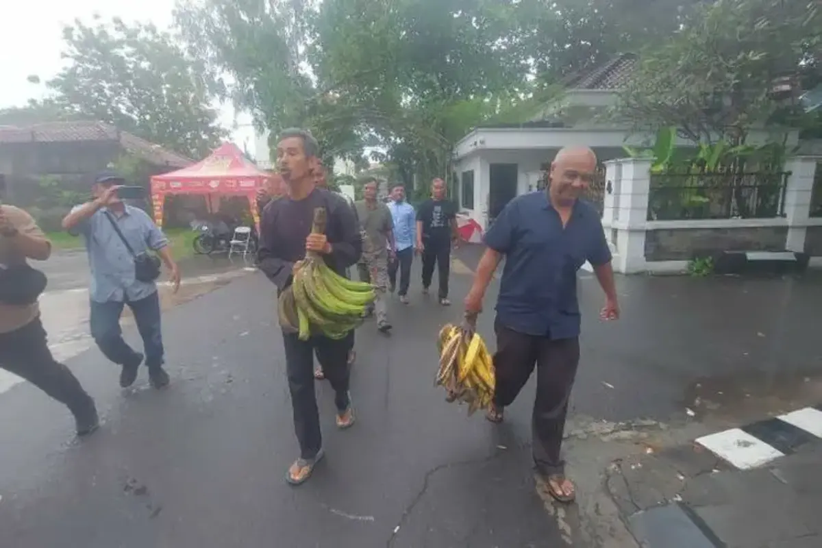 Berharap Pabrik Gula Beroperasi Lagi, Petani Tebu Blora Temui Jokowi dan Bawa Tiga Tandan Pisang Tanduk