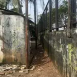 Jalan Tembus Pasar Minggu Belum Rampung, Warga Desak Percepatan dan Pencairan Ganti Rugi