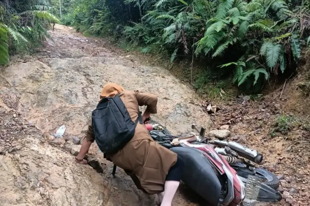 Jalan Rusak Di Jorong Nenan Viral: Guru Jatuh Dari Motor, Petani Bikin Lagu Protes