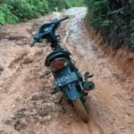 “Lah Mati Kami Dek Harok”: Lagu Petani Gambir tentang Jalan di Kampungnya di Limapuluh Kota Sumbar