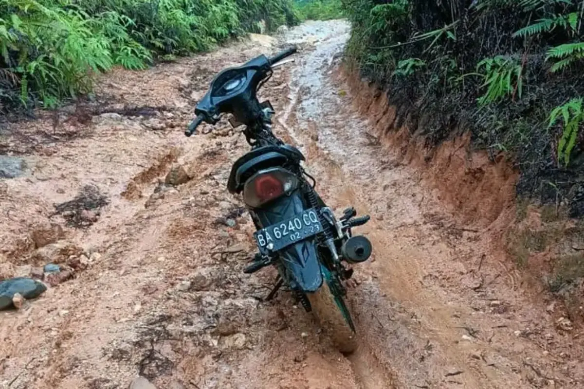 “Lah Mati Kami Dek Harok”: Lagu Petani Gambir tentang Jalan di Kampungnya di Limapuluh Kota Sumbar