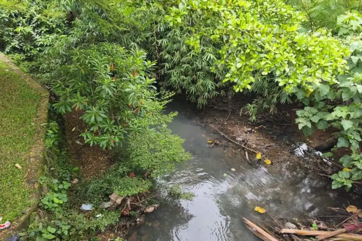 Jejak Perubahan Aliran Kali Ciputat, Banjir Terus Menghantui Pondok Aren Tangsel