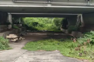 Biang Kerok Banjir Pondok Aren Tangsel Diduga karena Perubahan Aliran Kali Ciputat
