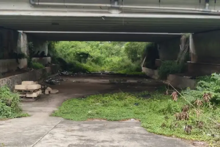 Biang Kerok Banjir Pondok Aren Tangsel Diduga karena Perubahan Aliran Kali Ciputat