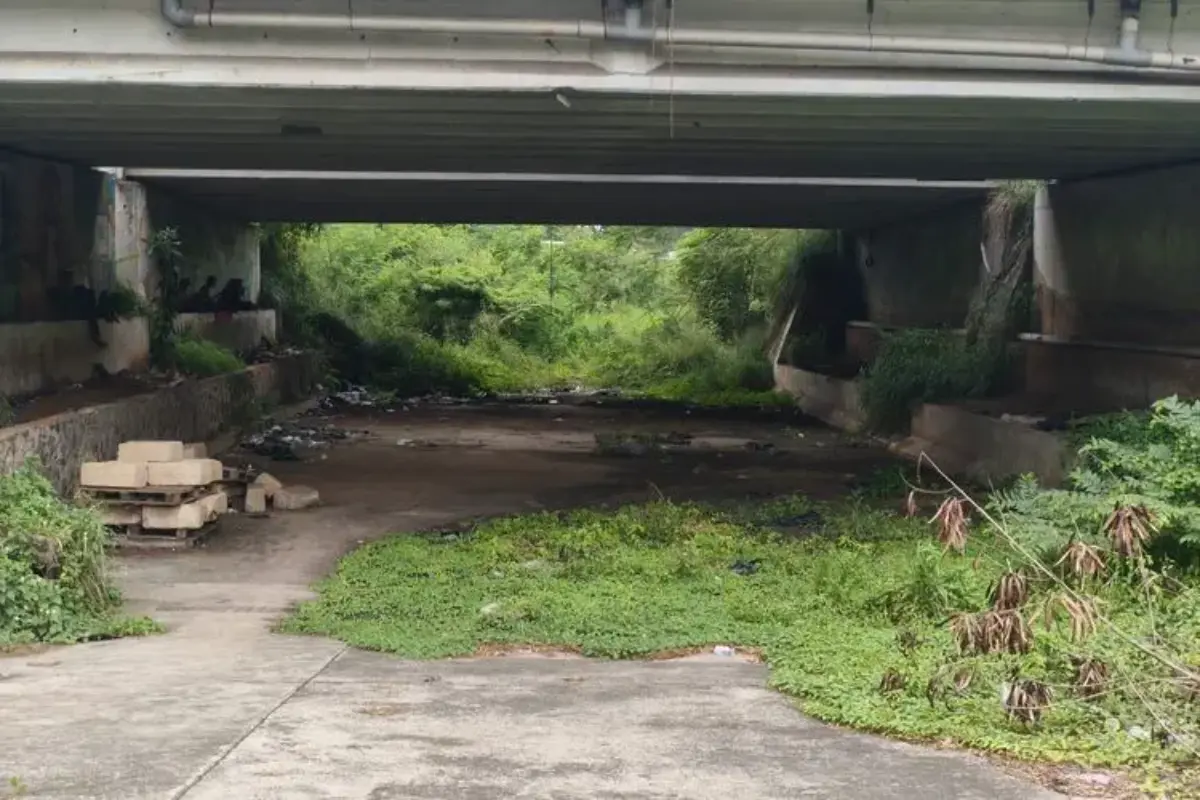 Biang Kerok Banjir Pondok Aren Tangsel Diduga karena Perubahan Aliran Kali Ciputat
