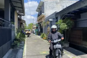 Polisi Selidiki Kematian Massal Kucing di Kota Malang