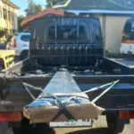 Pelajar di Gunungkidul Luka Parah Tertimpa Besi Hollow yang Jatuh dari Mobil Muatan