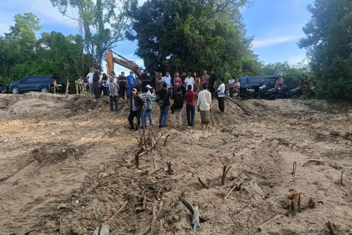 Mangrove Di Kawasan Btid Dibabat, Dprd: Kalau Begini Hancur Kita Di Bali, Pak!