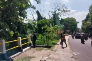 Perempuan Terjun ke Jurang di Bogor Usai Ribut dengan Pacar, Kini Belum Ditemukan