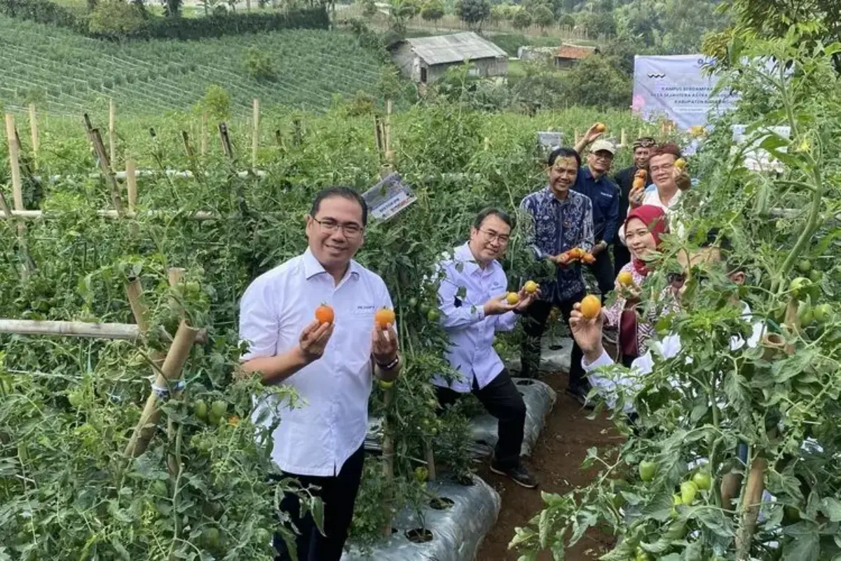 Perkuat Produksi Dan Manajemen Pascapanen, Ipb Dampingi Petani Bandung Barat Garap Hortikultura