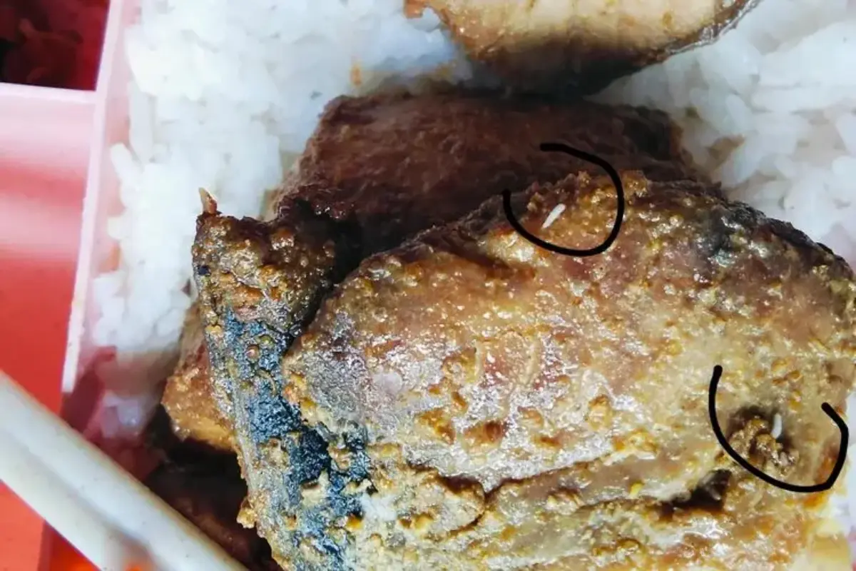 Belatung Ditemukan Di Menu Mbg Dapur Dipenuhi Lalat, Sppg Sawagumu Sorong Ditutup Sementara