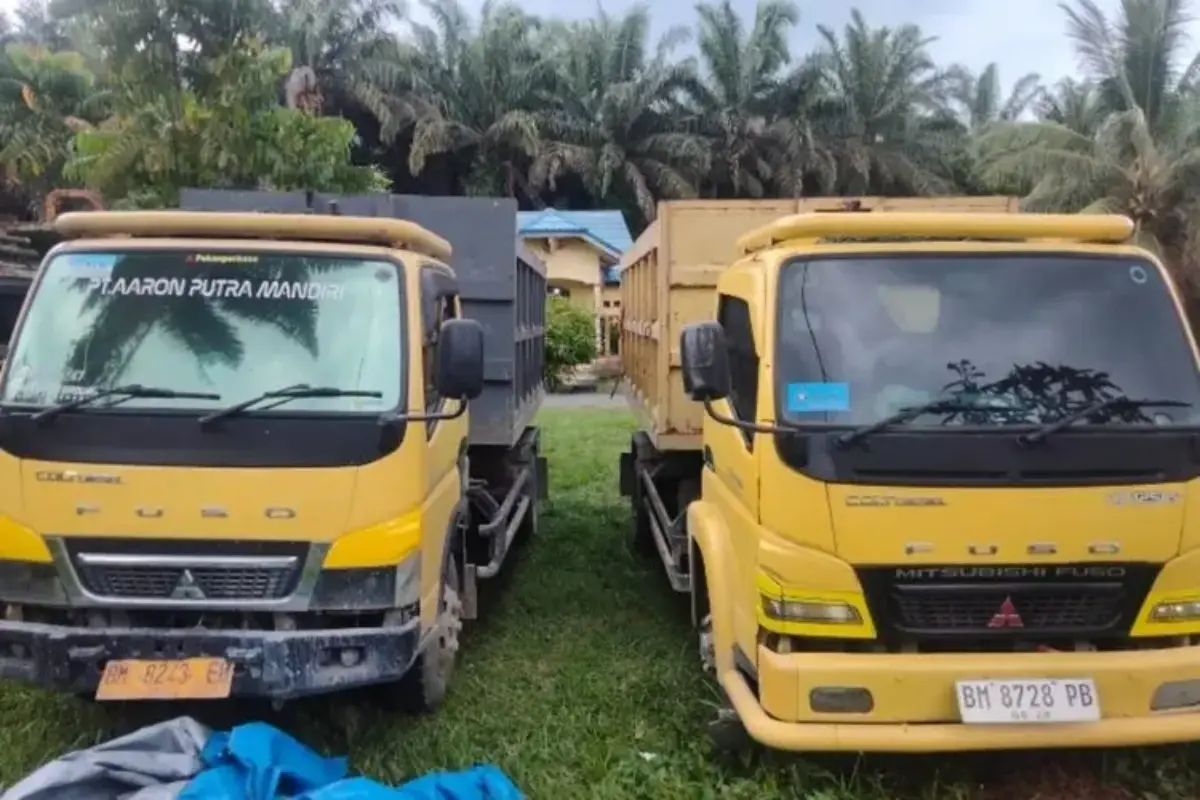 "ninja Sawit" Ditangkap Di Bengkalis Riau, Tilap 1 Ton Tandan Buah Segar