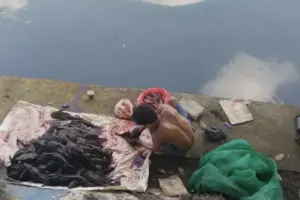 Debit Air di Bekasi Tinggi, 5 Warga Cikarang Cari Ikan Sapu-sapu ke Sungai di Jakarta