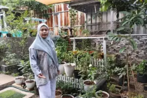 Dari IT ke “Urban Farming”, Kisah Dewi Menata Hidup di Cibinong lewat Sayur dan Ternak Ayam